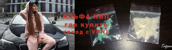 ПСИЛОЦИБИНОВЫЕ ГРИБЫ Белоозёрский