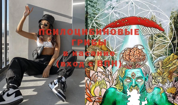 ПСИЛОЦИБИНОВЫЕ ГРИБЫ Белоозёрский