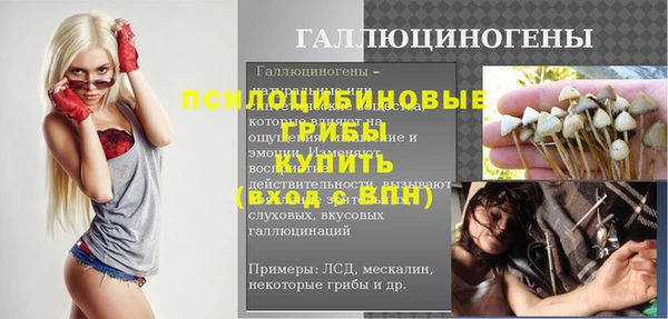 ПСИЛОЦИБИНОВЫЕ ГРИБЫ Белоозёрский