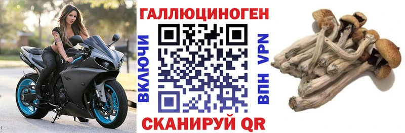 цены Мглин Псилоцибиновые грибы MAGIC MUSHROOMS